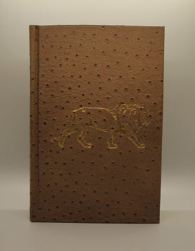 Hunting the African Lion